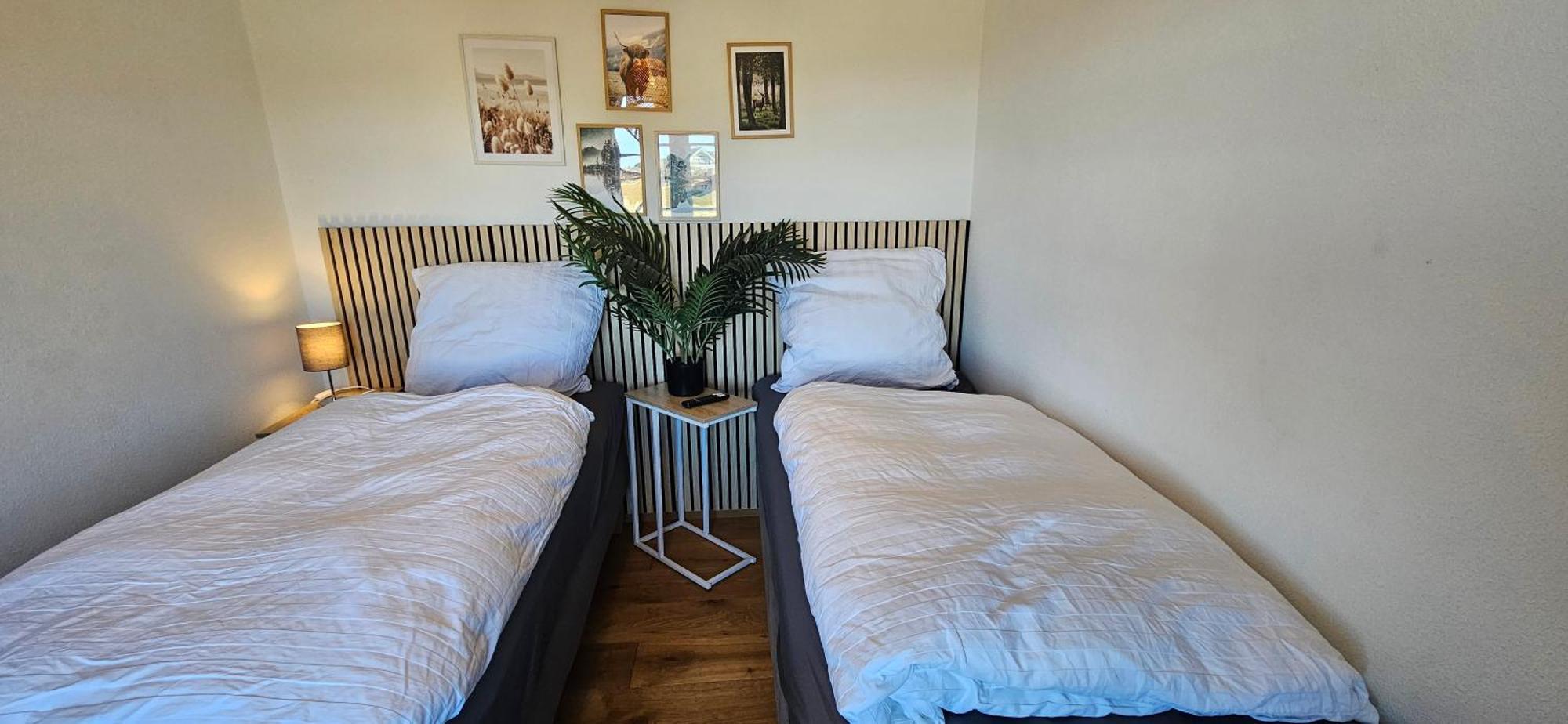 Charmantes Eifel Ferienhaus An Der Schavener Heide Mechernich Zewnętrze zdjęcie